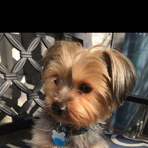 Meet your Posher, Kiki